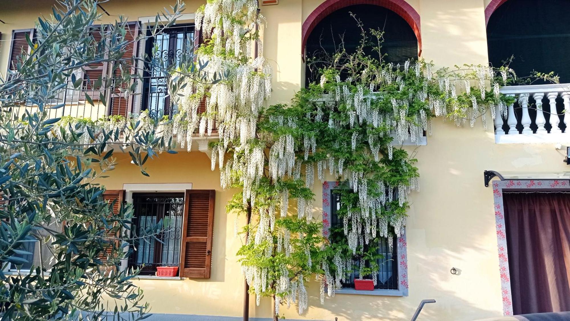 La Casa Dei Masue' Guest House Alba  Exterior photo