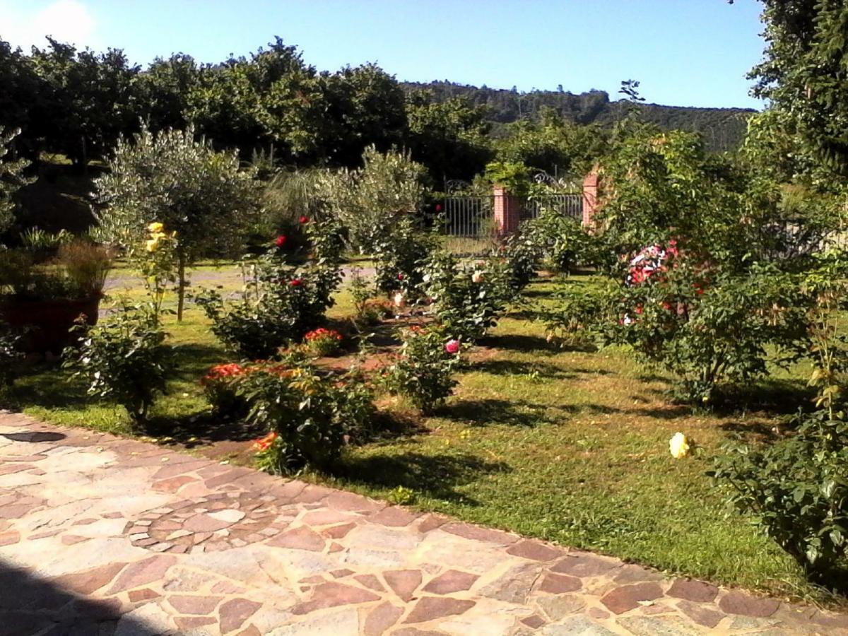 La Casa Dei Masue' Guest House Alba  Exterior photo